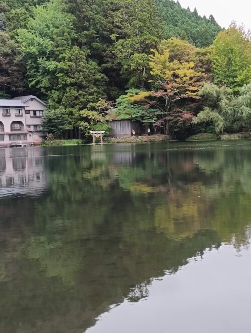 湯けむりがゆらめく金鱗湖。木々が湖面に映る幻想的な風景
