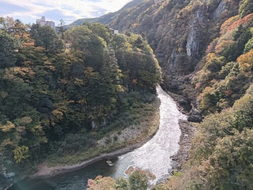 鬼怒川温泉「ホテルニューおおるり」客室からの眺望。渓谷と山並みが広がる景色。